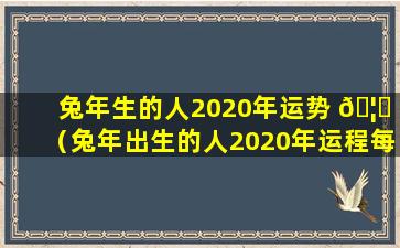 兔年生的人2020年运势 🦅 （兔年出生的人2020年运程每 🌺 月运势）